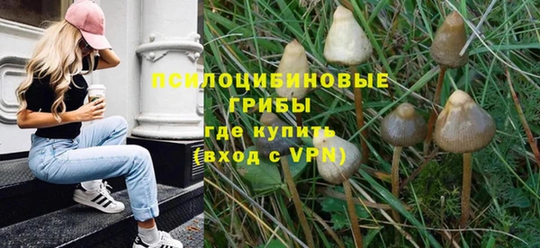 ALPHA PVP Михайловск