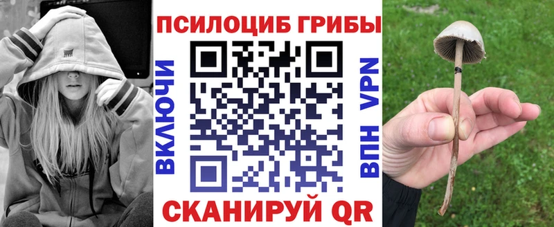 Псилоцибиновые грибы Psilocybine cubensis Петровск-Забайкальский